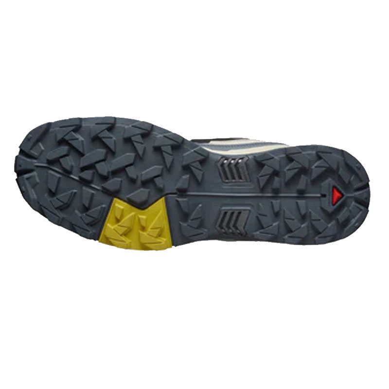 Salomon Bota X Ultra 360 GTX M Gris