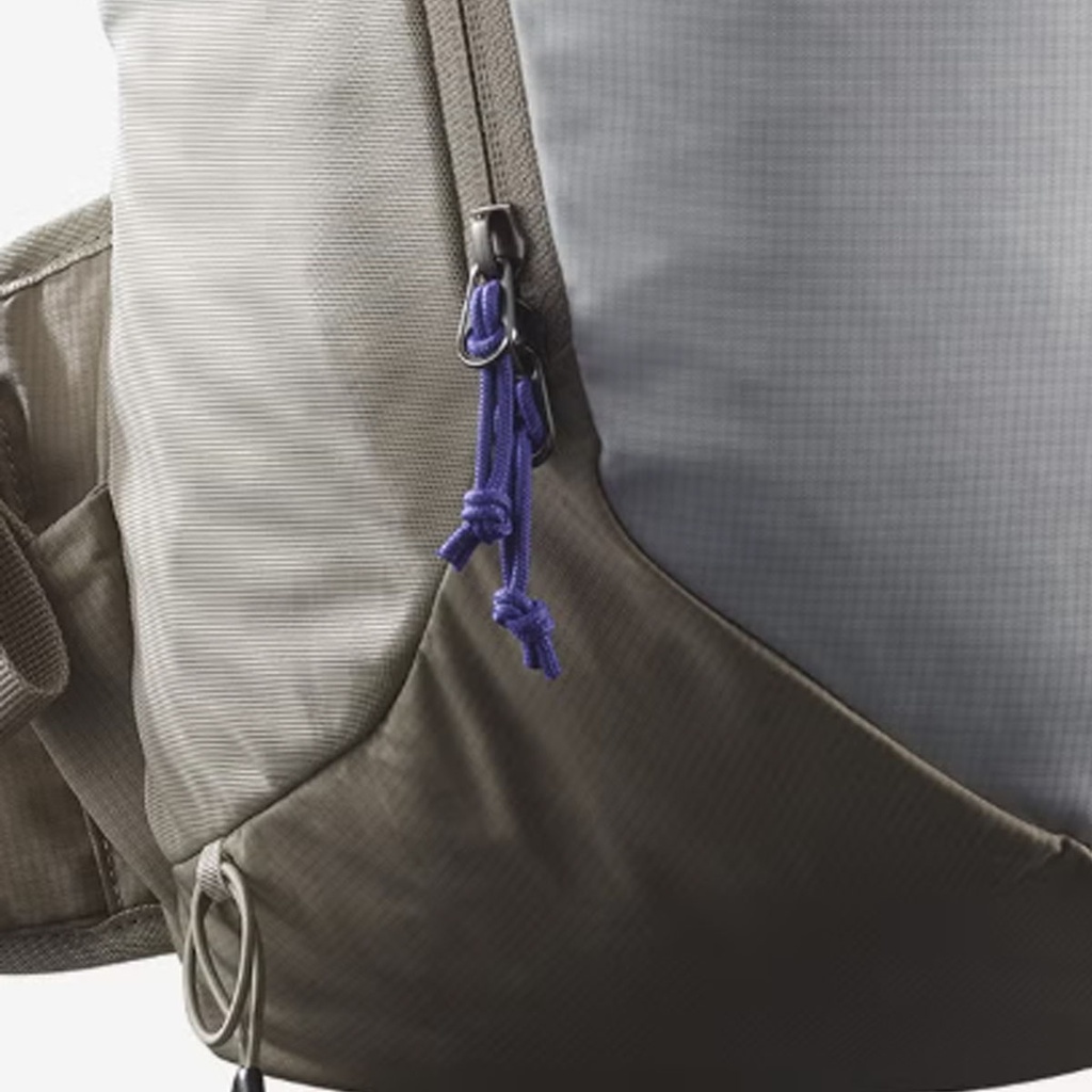 Salomon Mochila Trailblazer 20L Gris