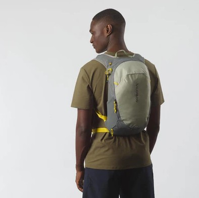 Salomon Mochila Trailblazer 20L Gris
