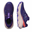 Salomon Zapatilla Ultra Flow2 Gtx W