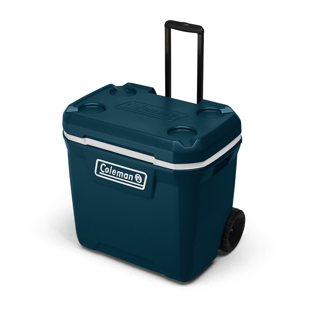 Coleman Conservadora 316 Series 65 QT