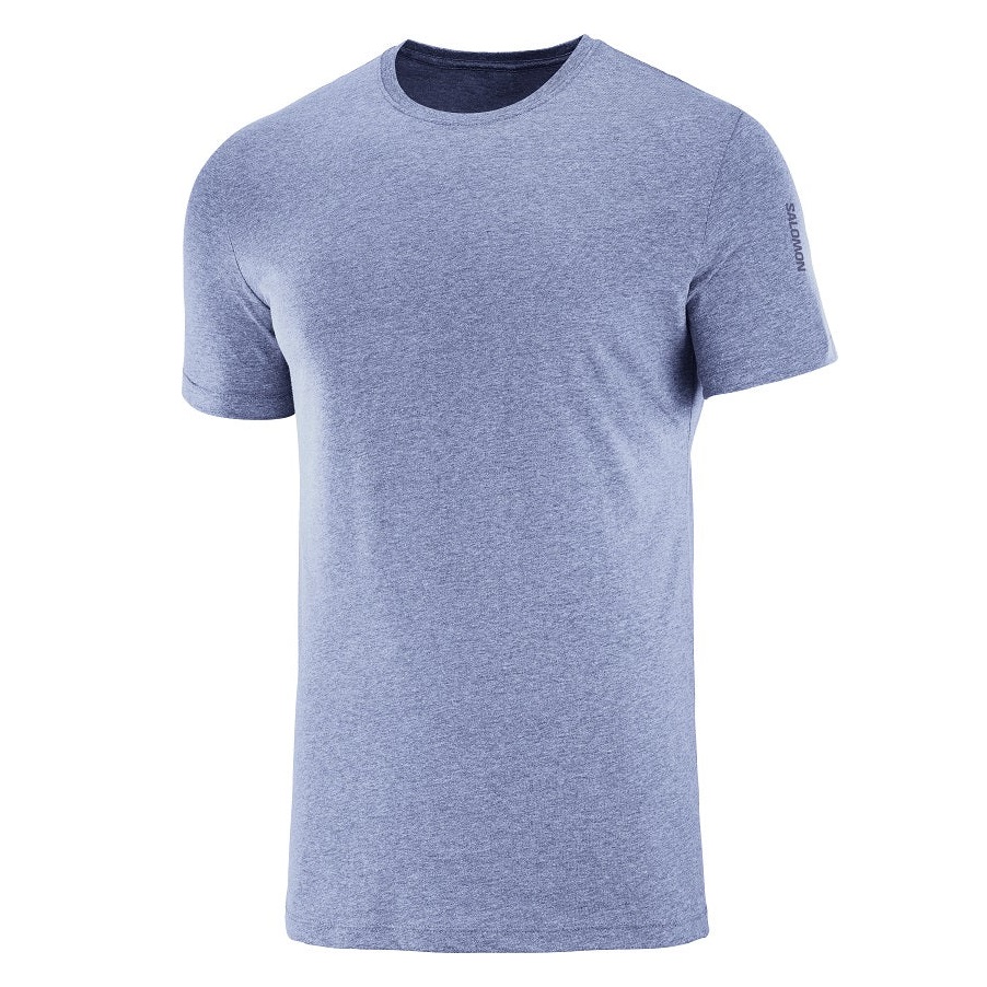 Salomon Remera Cotton SS Gris M