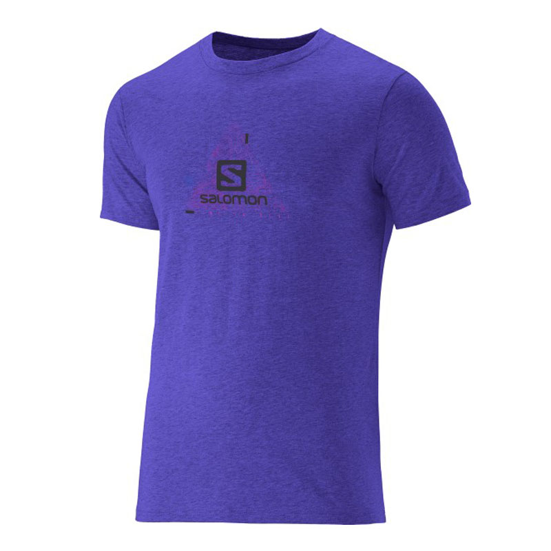 Salomon Remera Logo M