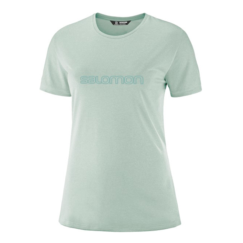 Salomon Remera Logo W