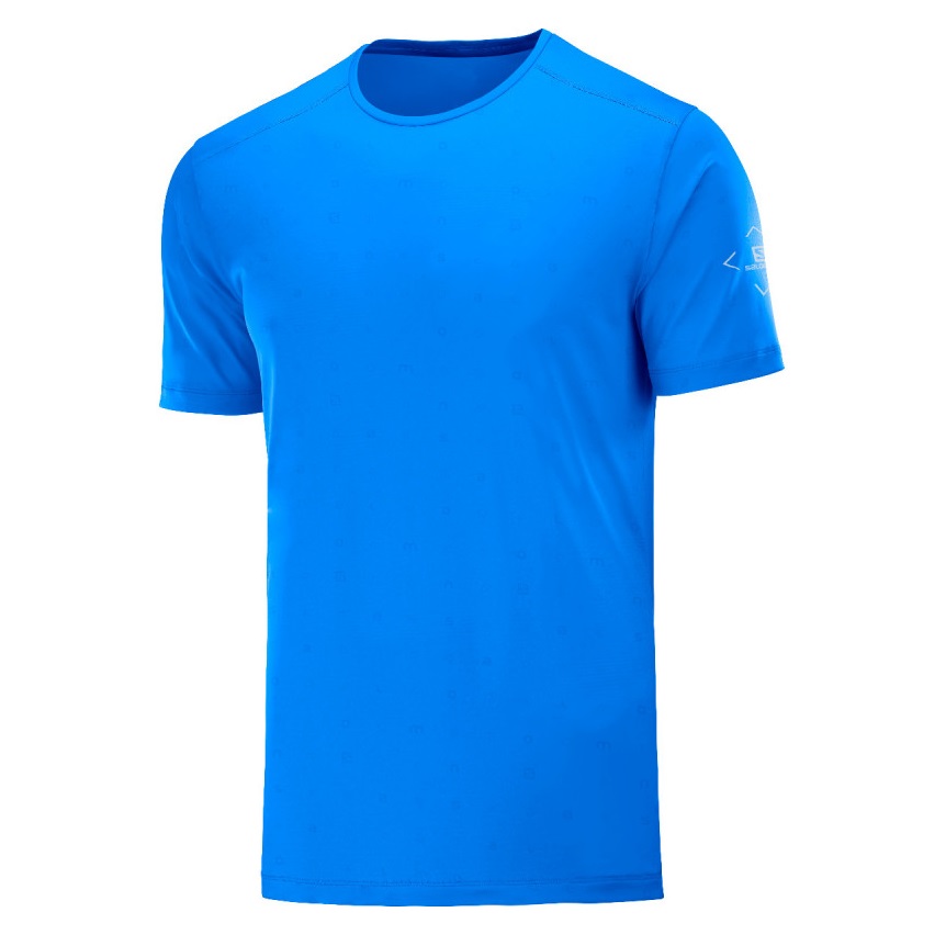 Salomon Remera Logo Wet M